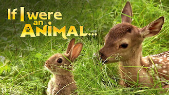 If I were an Animal (2016) on Netflix in Switzerland If I were an Animal (2016) on Netflix in Switzerland