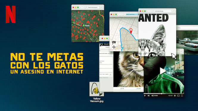 No te metas con los gatos: Un asesino en internet