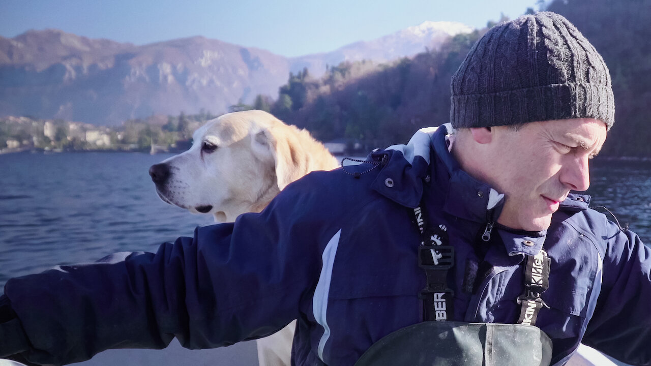 netflix dogs territorio de zaguates